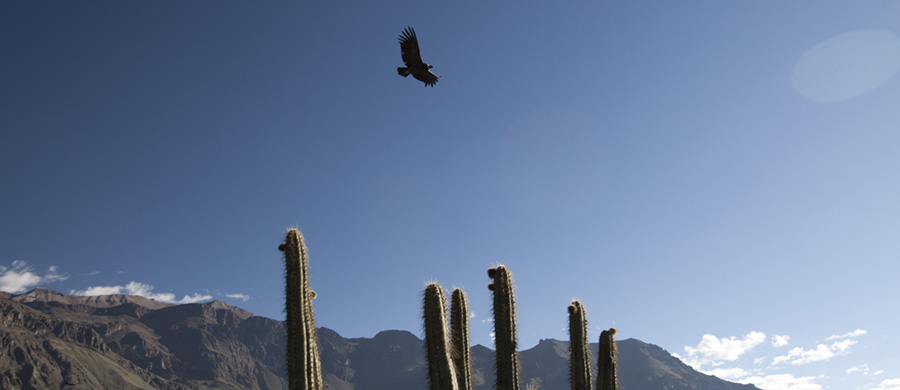 Perú redescubrir su invierno en pleno agosto